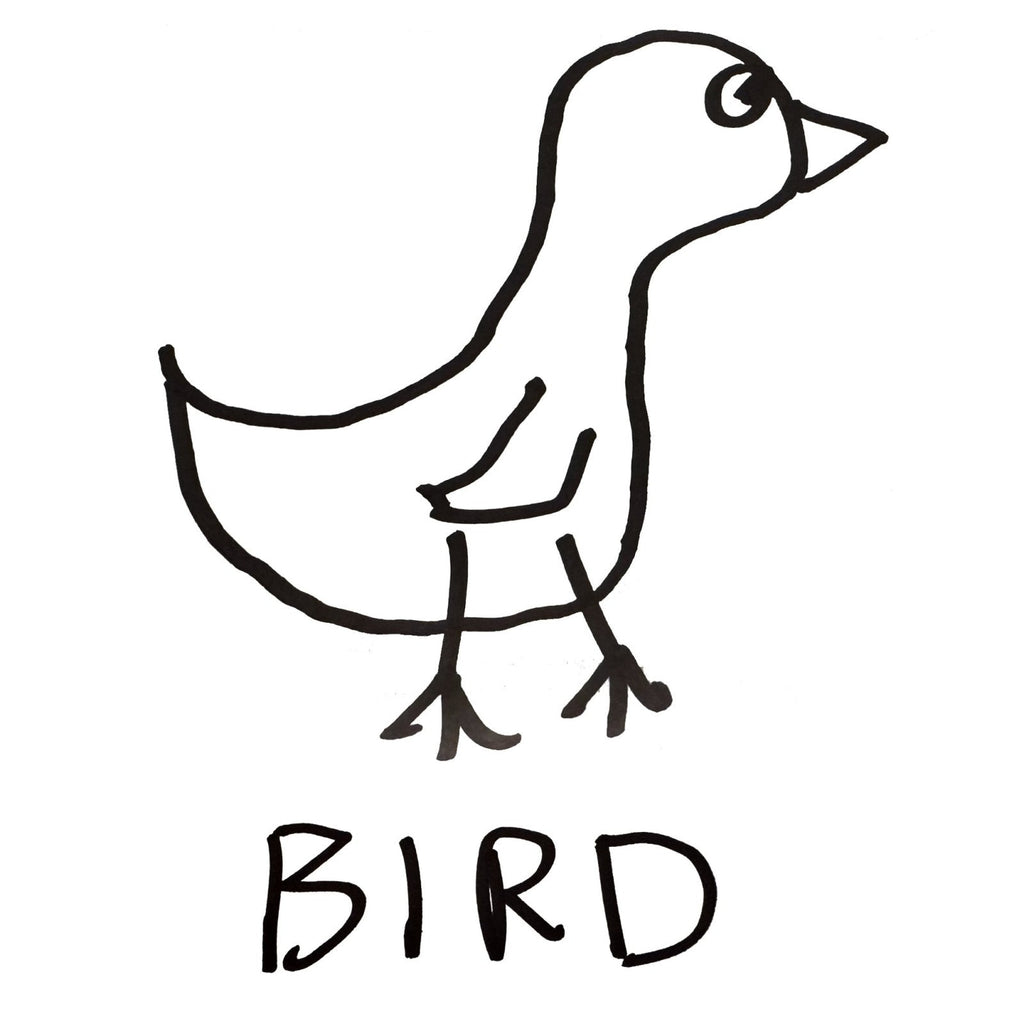 Bird - V-Neck T-Shirt