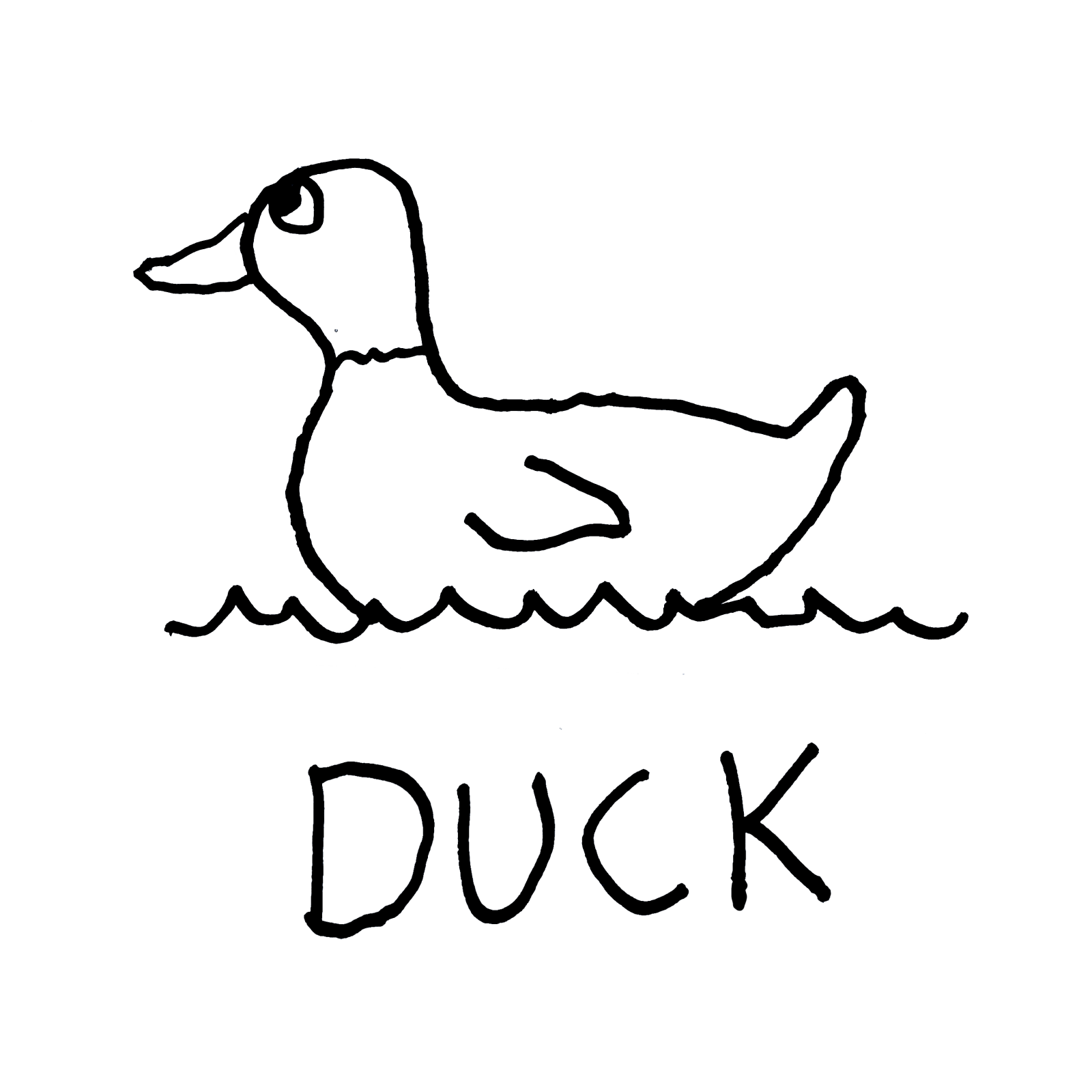 Duck - Hoodie